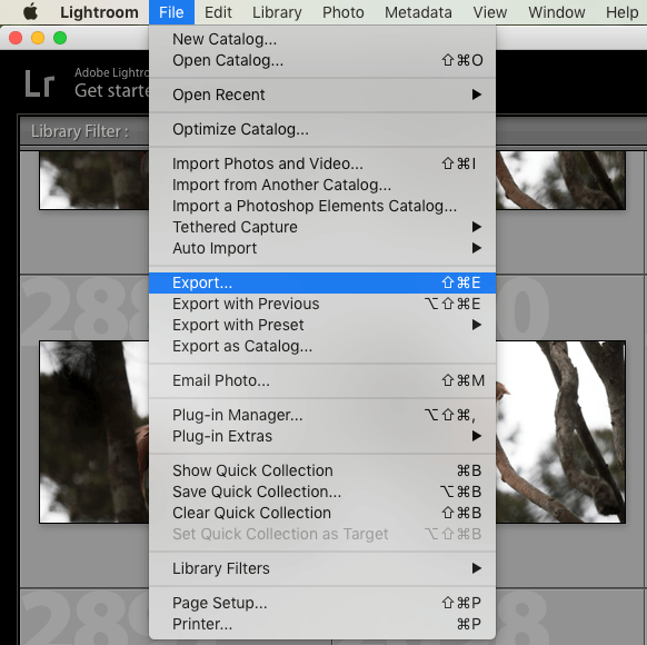 Best Lightroom export settings for print photographyaxis-1