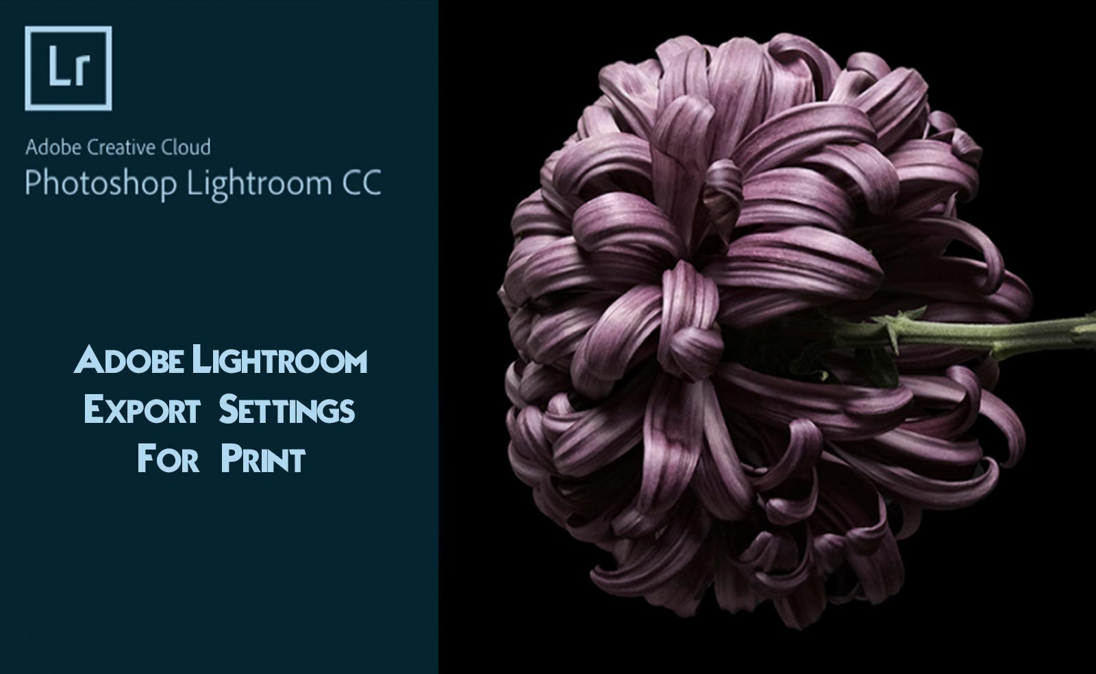 how to export photos from lightroom cc