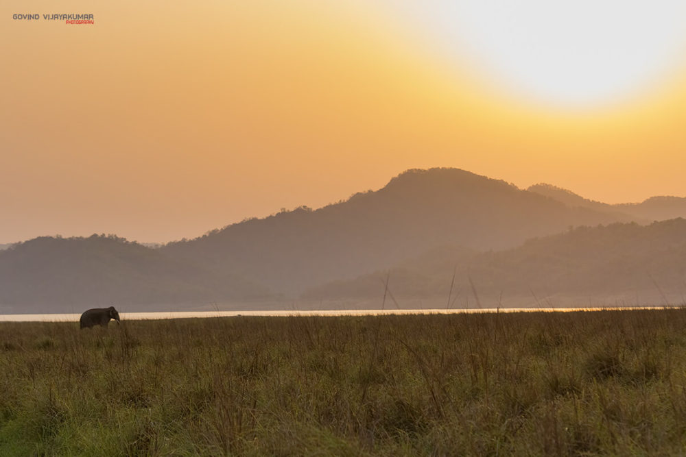 35 Best Sunset Photography Tips and Ideas - PhotographyAxis