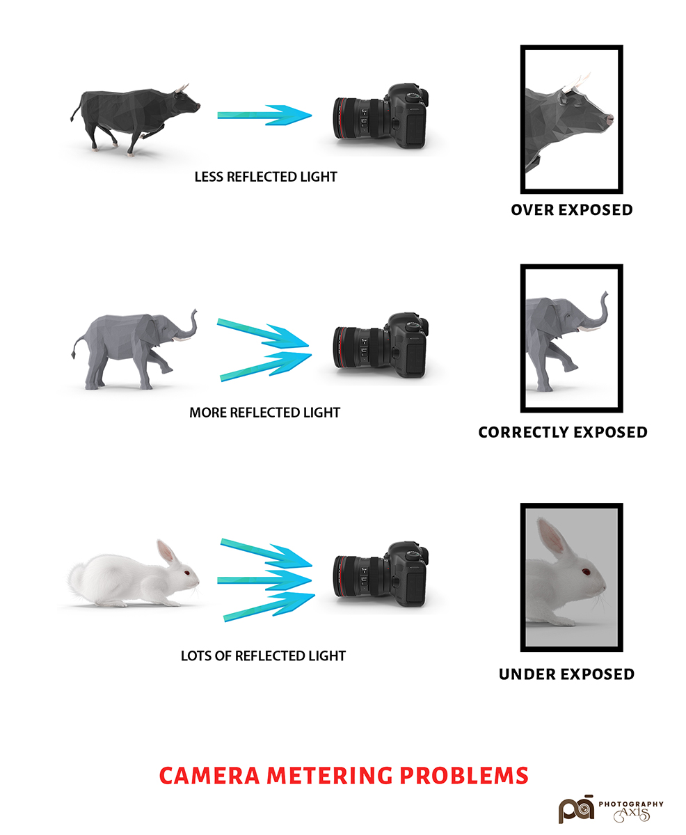 Did Camera Metering Fool You? PhotographyAxis