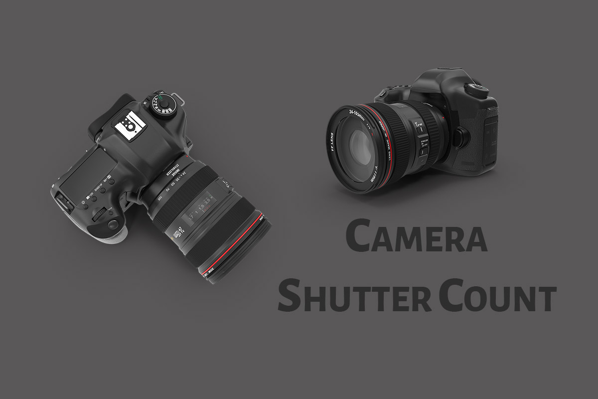 Canon Shutter Count Check Software