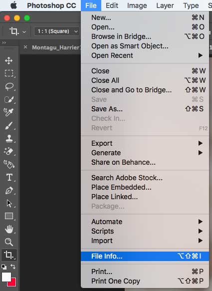 Adobe Photoshop EXIF Viewer Option