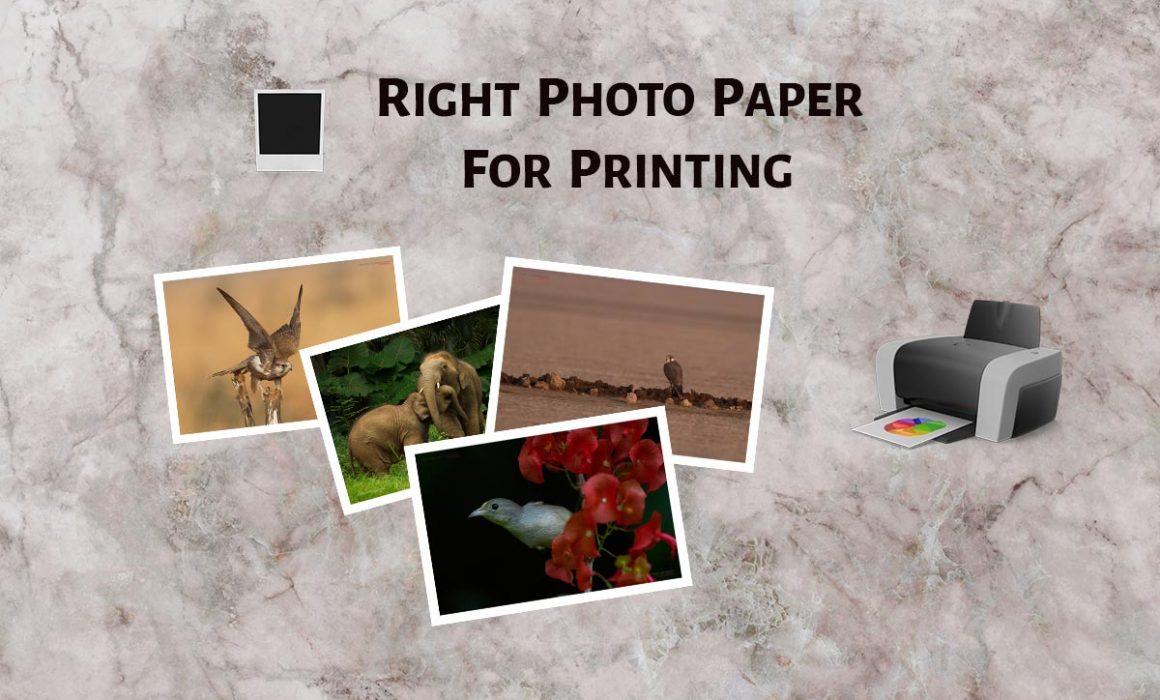 Types of Paper for Printing Photos (Explained for Photographers)