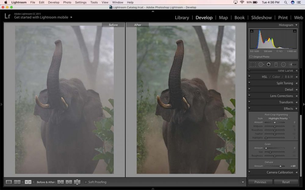 The Magic of Lightroom Dehaze Slider PhotographyAxis