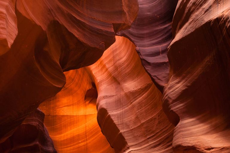 11 Types of Natural Light in Photography PhotographyAxis