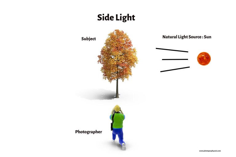 11 Types of Natural Light in Photography PhotographyAxis