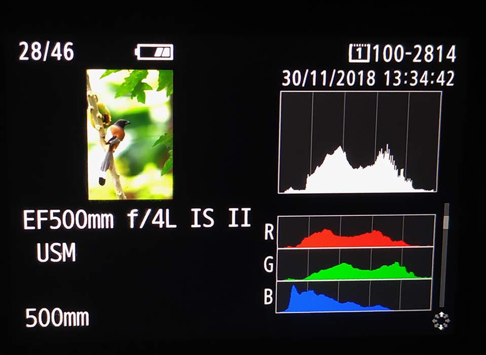 Understanding Camera Histogram PhotographyAxis