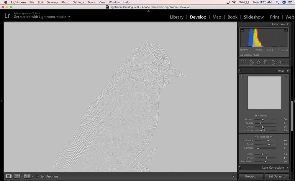 How to Sharpen Images in Lightroom PhotographyAxis