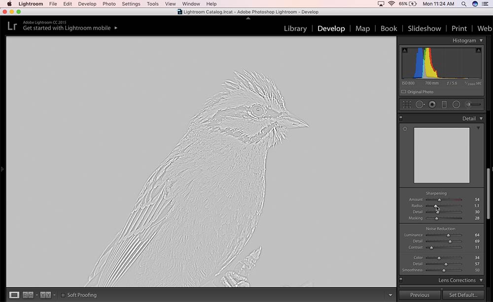 How to Sharpen Images in Lightroom PhotographyAxis