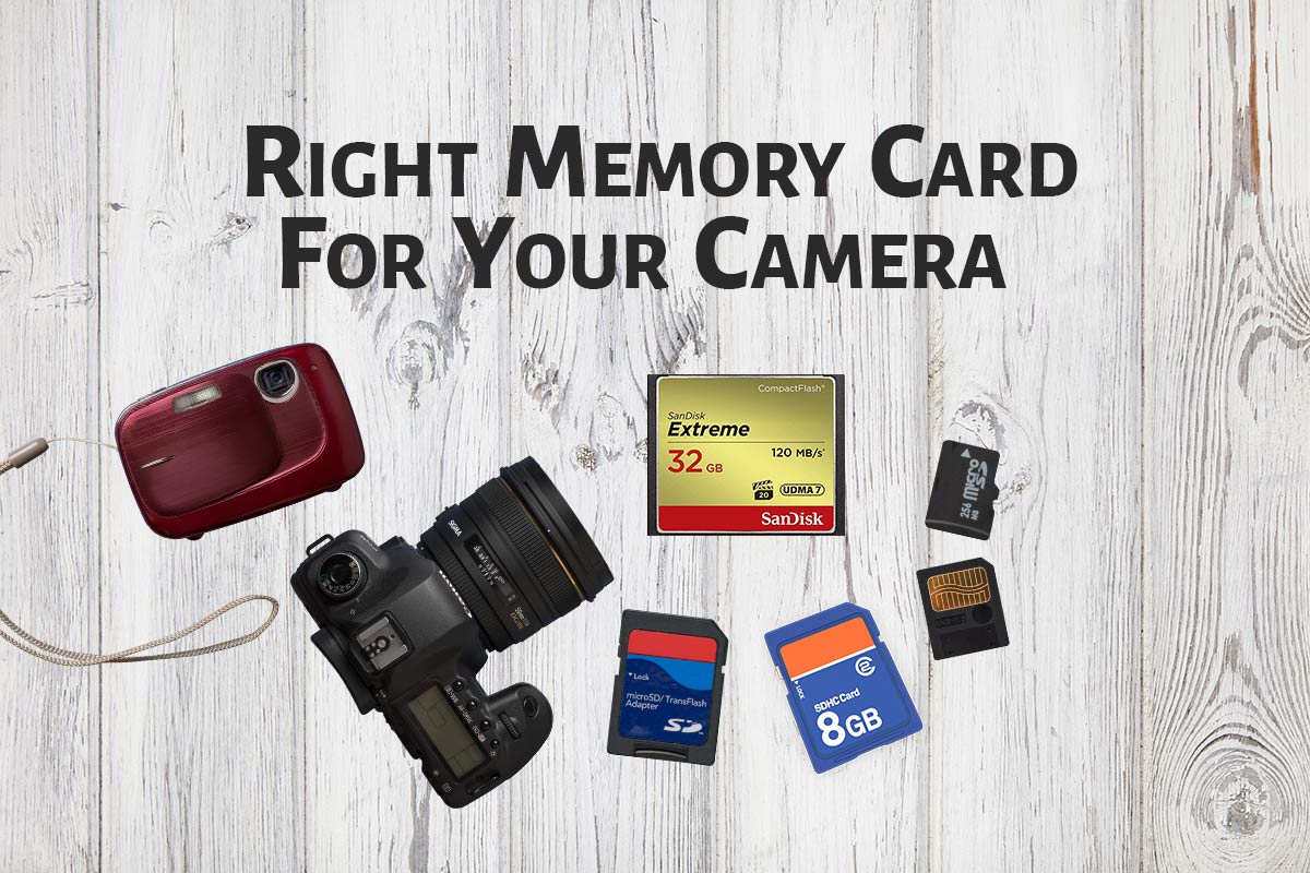 How to Select the Right Memory Card for your Camera? PhotographyAxis