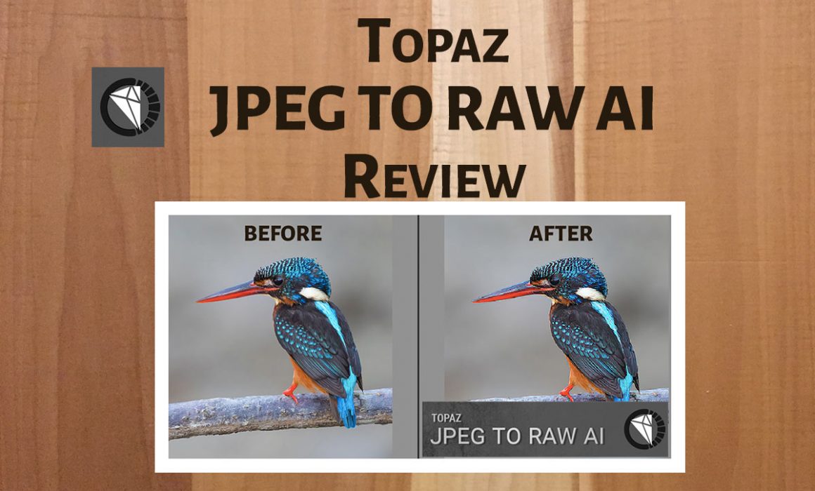 Topaz JPEG to RAW AI Review