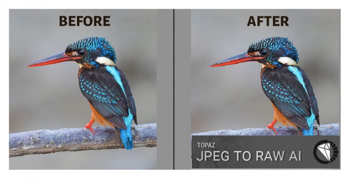 Topaz JPEG to RAW AI Before After