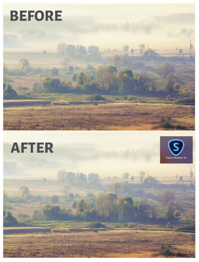 Topaz Sharpen AI Review Does It Really Work? PhotographyAxis