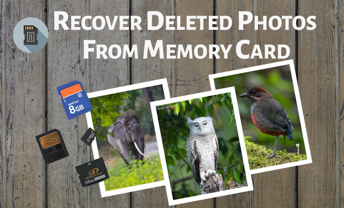 Recover Deleted Photos from Memory Card