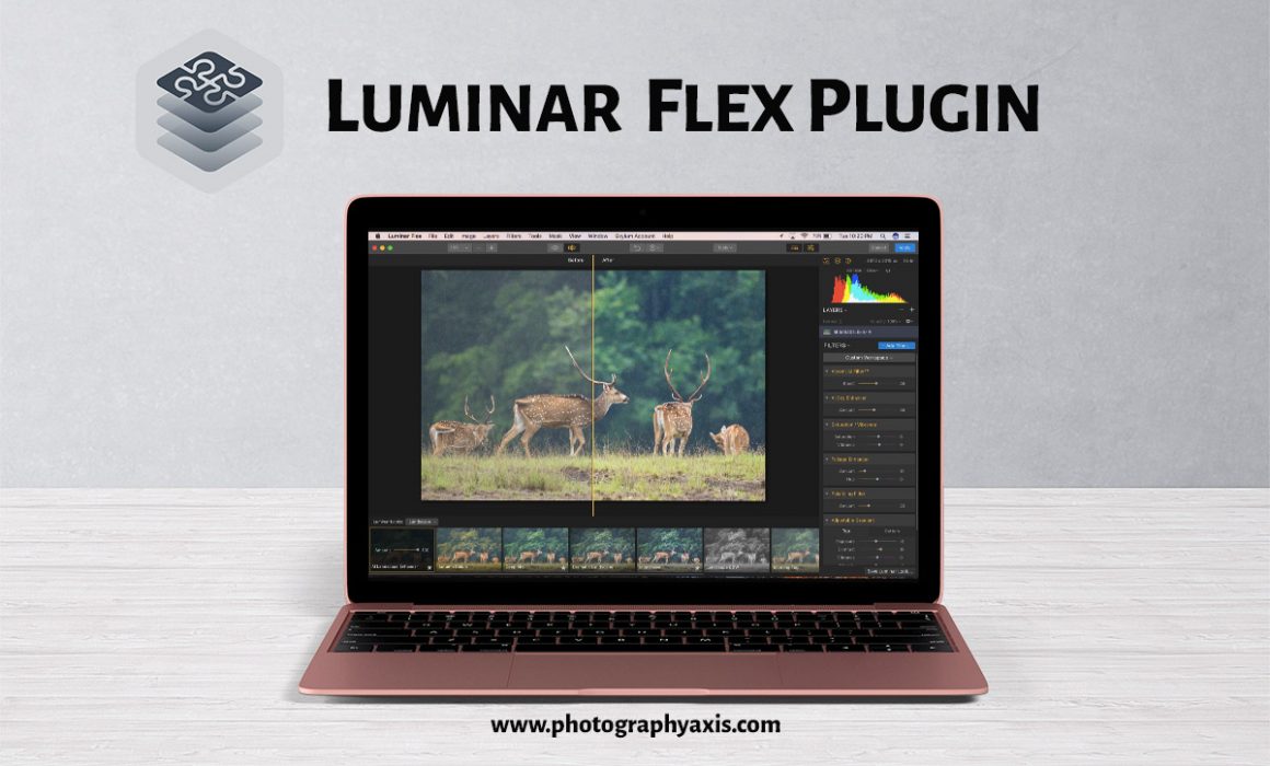 Luminar Flex Plugin review
