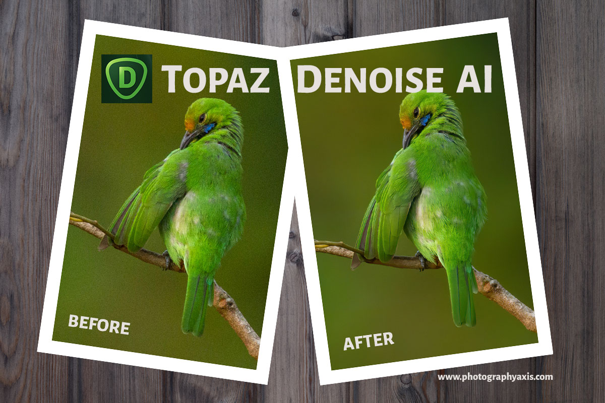 topaz denoise 6 preset camera models supported