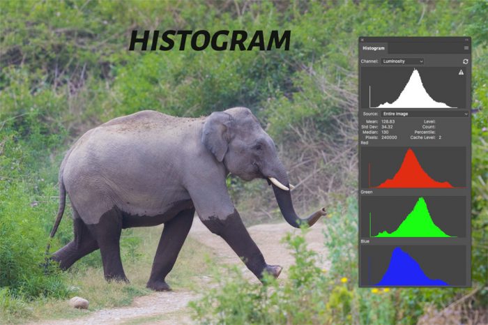 Histogram of a Image