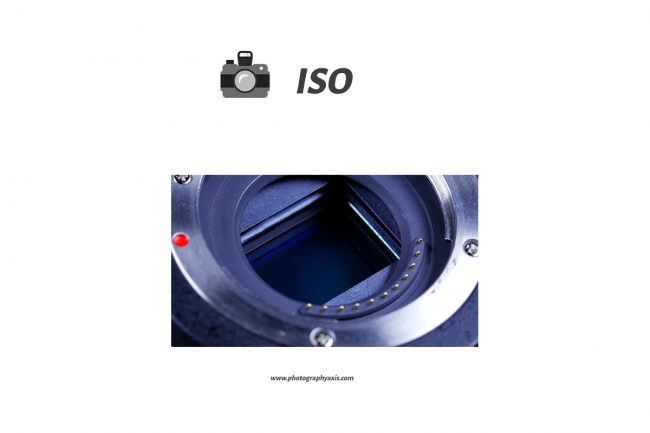 Photography Basics for Beginners- Ultimate Guide - PhotographyAxis
