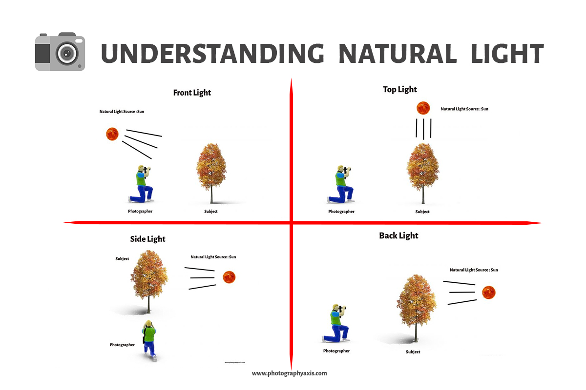 Photography Basics for Beginners Ultimate Guide PhotographyAxis