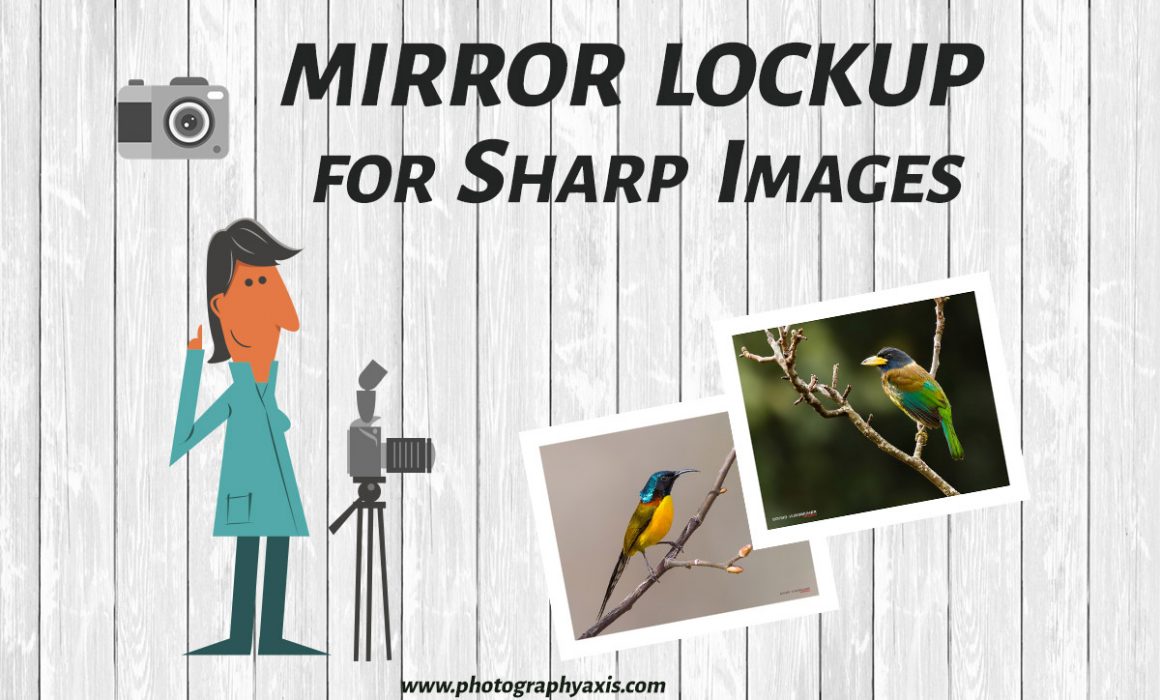 Mirror Lockup for Sharp Images