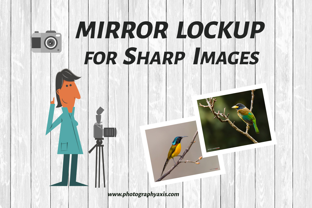 What is Mirror Lockup+ When & How to Use It? PhotographyAxis