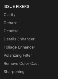 Issue Fixers Filters in Luminar 3