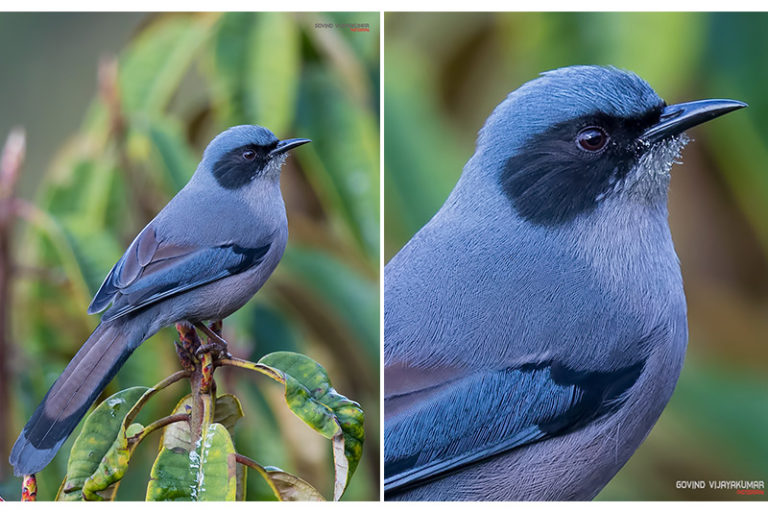 Fill the Frame Photography for Stunning Images PhotographyAxis