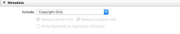 Lightroom Metadata export settings