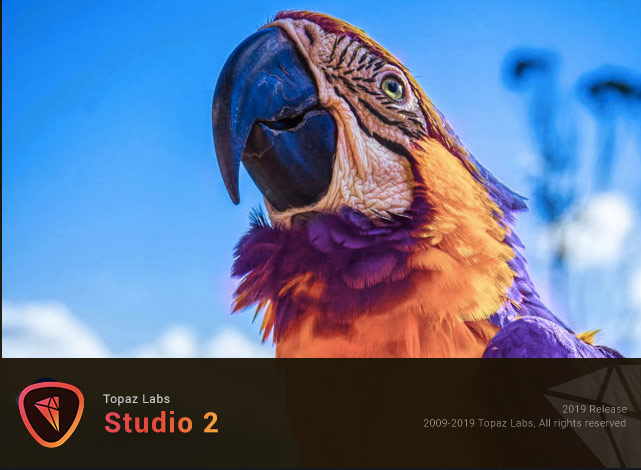 Topaz Studio 2 Review