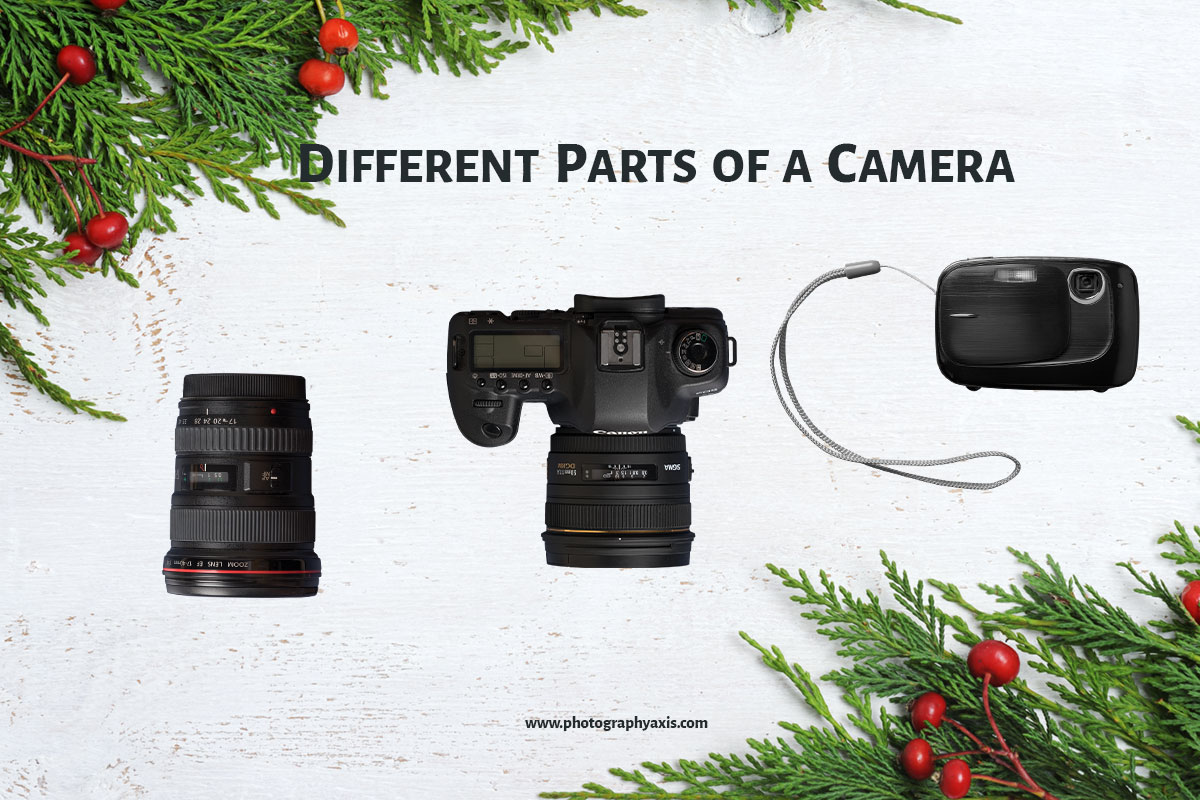 Knowing the Different Parts of the Camera