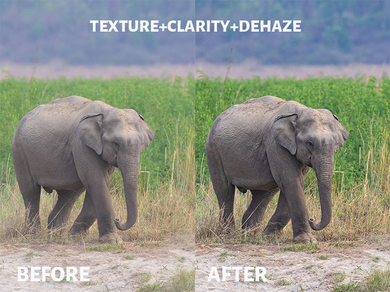 Texture, Clarity and DeHaze-Before After Image