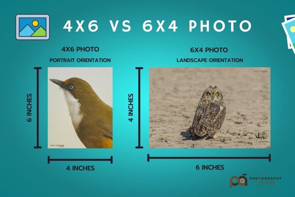 4X6 VS 6X4 PHOTO