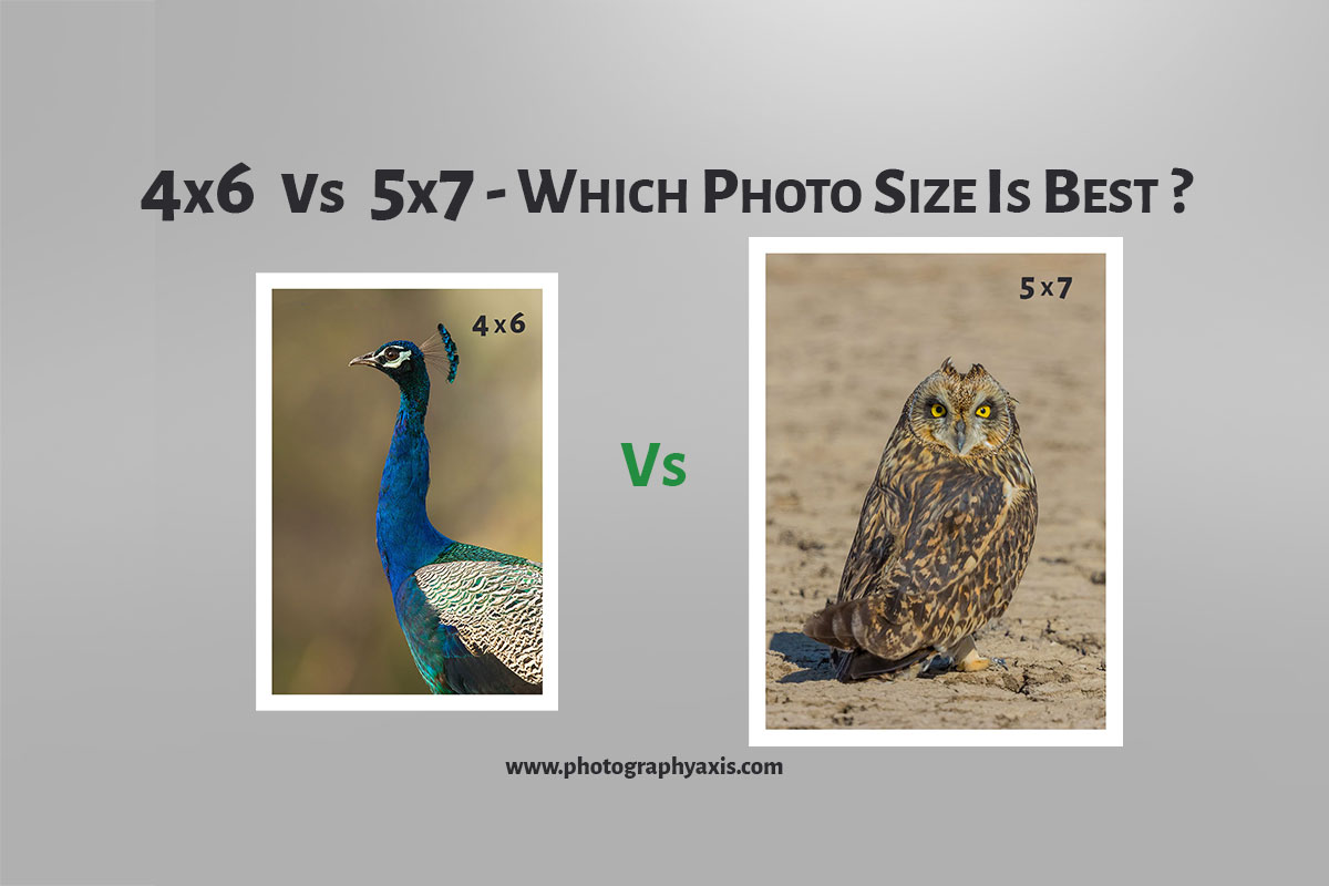 4x6-vs-5x7-which-photo-size-is-best-photographyaxis