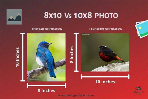 8x10 photo vs 10x8 photo