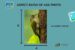 How Big is a 4×6 Photo?(Inch, cm, mm, Ft, Pixels) - PhotographyAxis