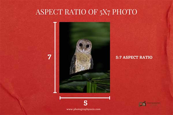 ASPECT RATIO OF 5X7 PHOTO
