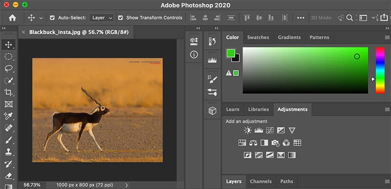 Adobe Photoshop Editing