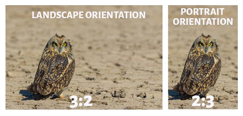 Aspect Ratio vs Image Orientation