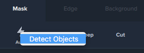 Auto Detect Objects Option