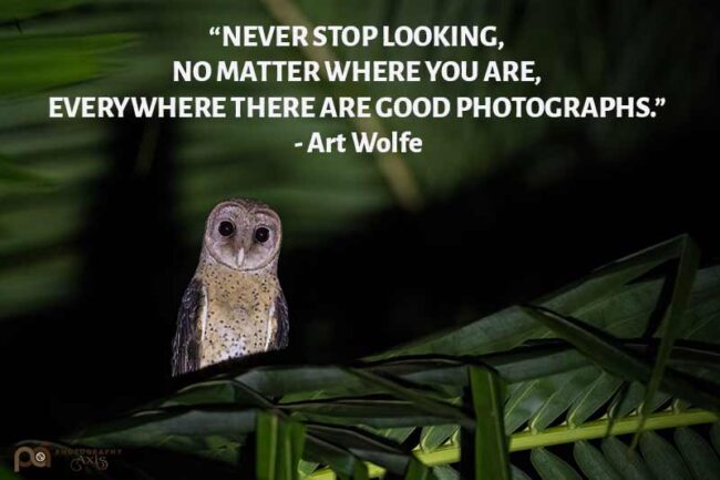 101 Best Nature Photography Quotes & Captions to Inspire You ...