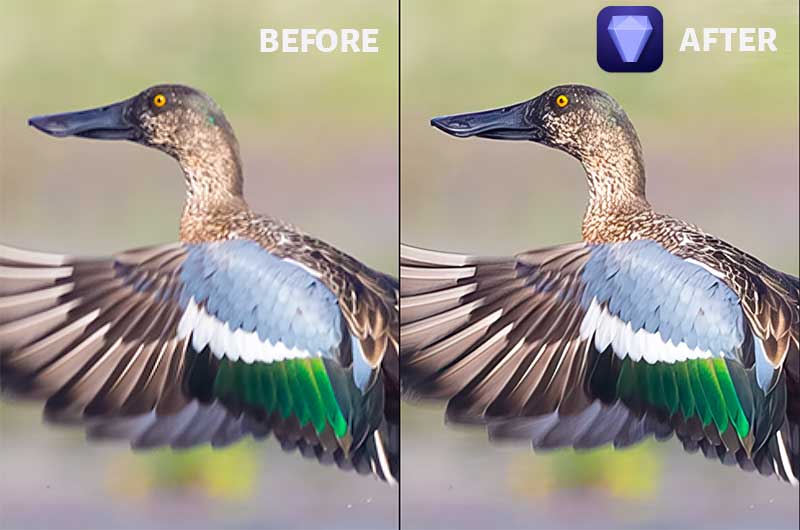 Before After Image Topaz Photo AI