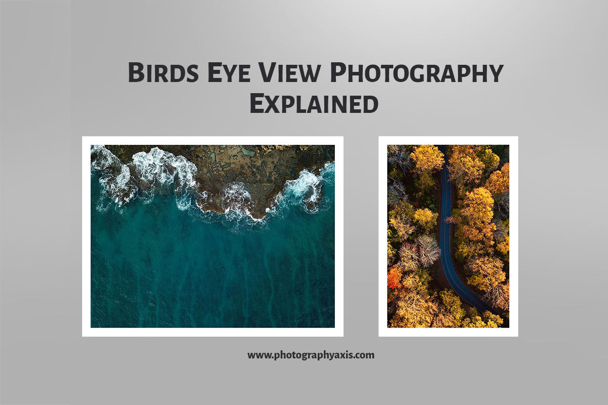 Getting a Bird's Eye View (5 PRO Tips + Examples)