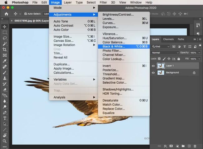 How to Crop a Layer in Photoshop – 3 Best Methods - PhotographyAxis