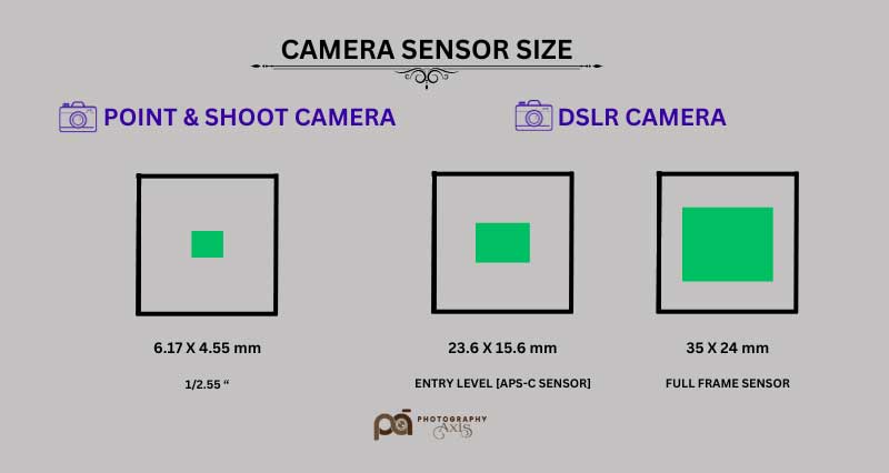 Camera Sensor Size