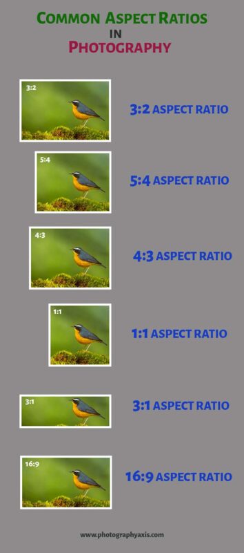 Common Aspect Ratios in Photography