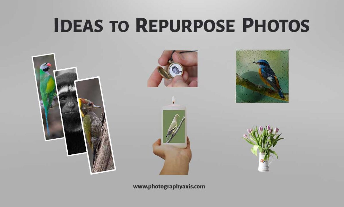Creative Ideas to Repurpose Photos