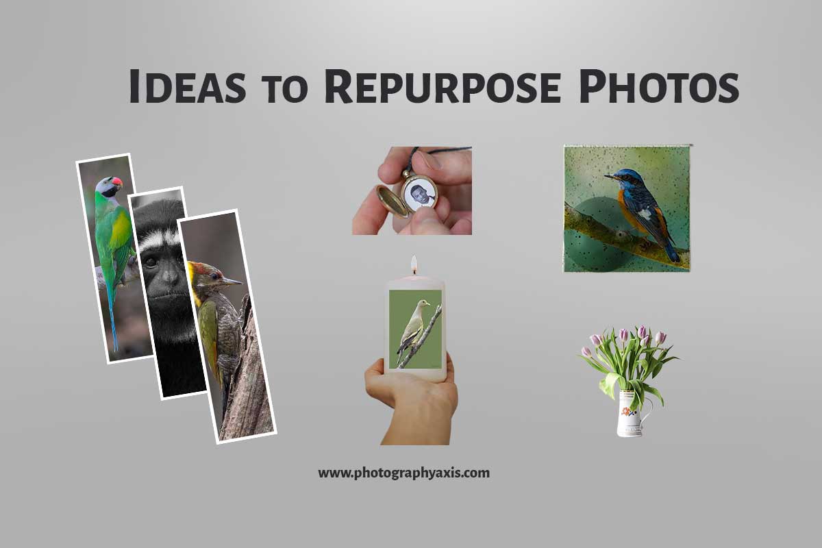 10 Creative Ideas To Repurpose Photos PhotographyAxis