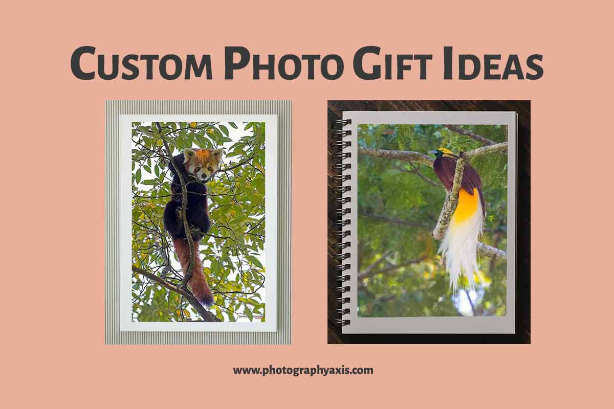 12 Best Custom Photo Gift Ideas to Try in 2024 PhotographyAxis