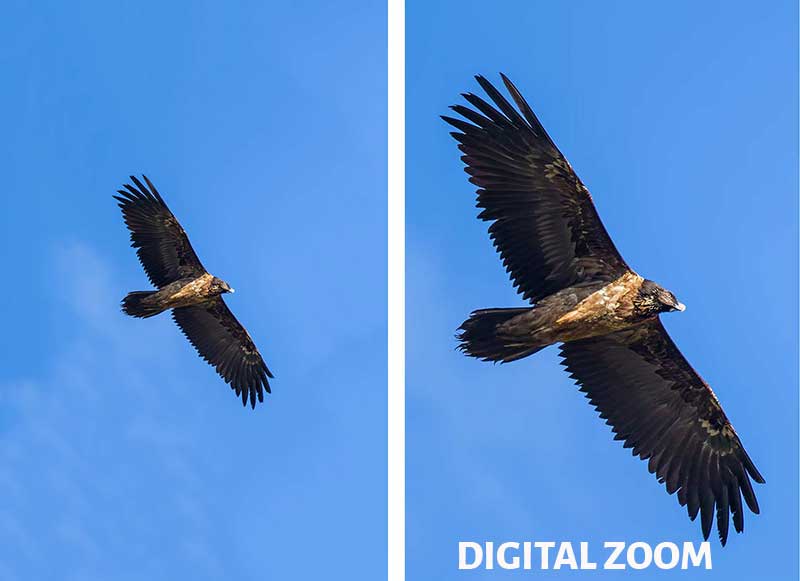 Digital Zoom in Photography