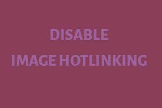 Disable Image Hotlinking